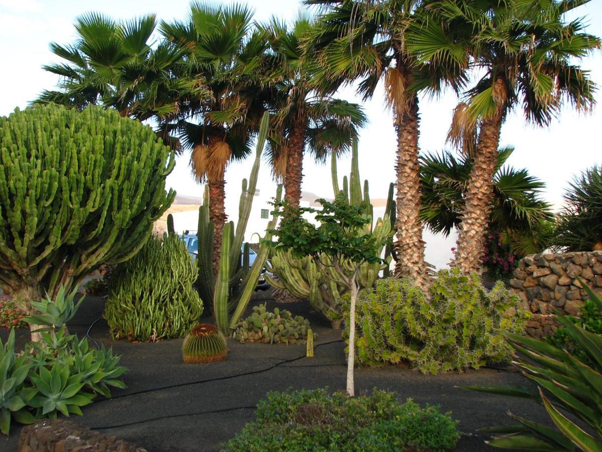 Casa Para Ti - Botanica بويرتو ذيل كارمين المظهر الخارجي الصورة